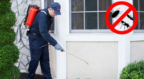 Adaklı Kemirgen İlaçlama böcek ilaçlama ve haşere kontrolü — ilaclama-tr.com
